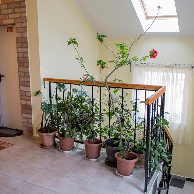 Verona Panzio Vendeglo 12